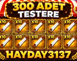 KAMPANYA 300 testere