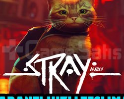 Stray