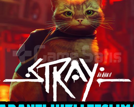 Stray