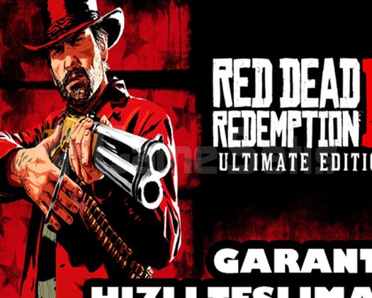 Red Dead Redemption 2 / RDR 2