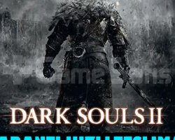 DARK SOULS 2 Bundle DX9