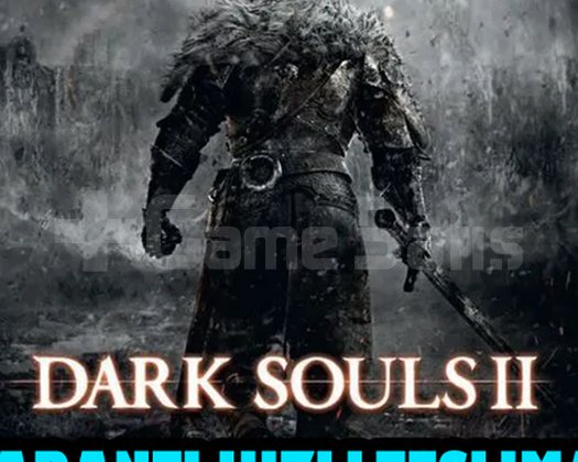 DARK SOULS 2 Bundle DX9