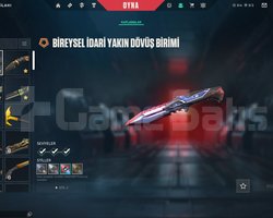 +80K YATIRMA GEÇMİŞLİ BETA HESABI+LOL