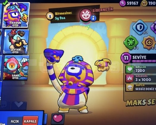 65K FULL TEK BAĞ ESKİ SEZON HESAPP
