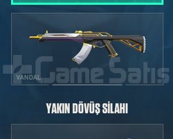 MAINLEMELIK DOLU HESAP