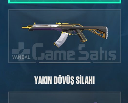 MAINLEMELIK DOLU HESAP