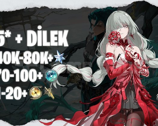 EU | UL35+ Phrolova + 40K+ Astrite