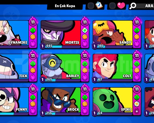 200+skinli hesap
