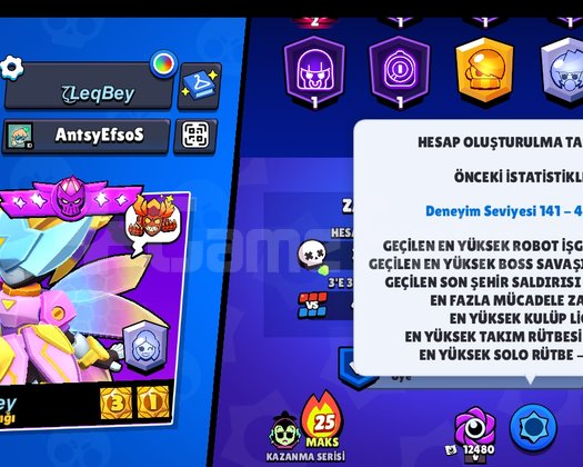 2019 ricochat nadirr 300 kostüm
