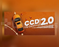 City Car Driving 2