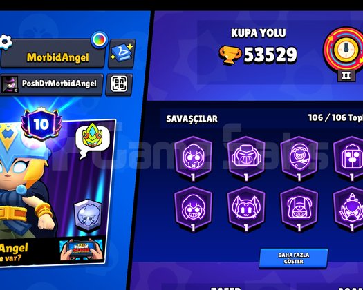 Bolca emek harcanan Brawl stars hesabı