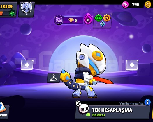 Bolca emek harcanan Brawl stars hesabı