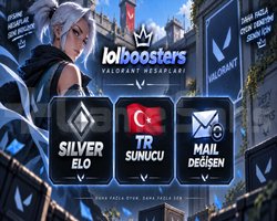 TRSV/EL İLE KASILMIŞ GÜMÜŞ /DİREK TESLİM