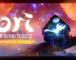 Ori and the Blind Forest Definitive Edi