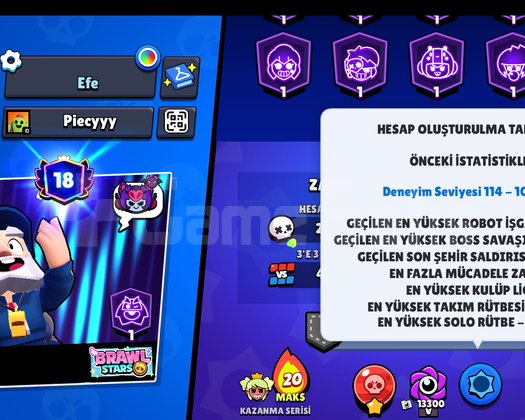 300 KOSTUMLU HESAP