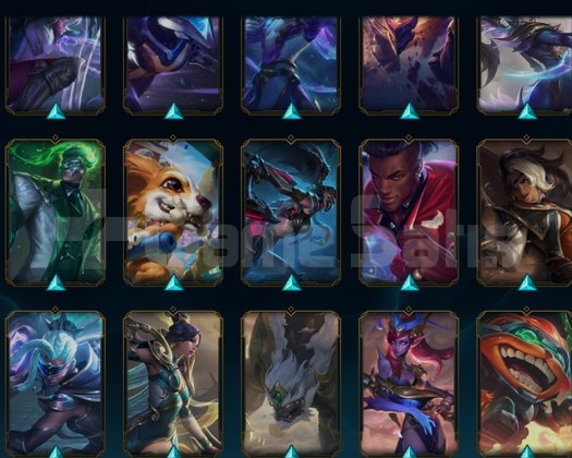 WEST MASTER CHALLENGER BORDER