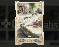 ÇAY KARTI