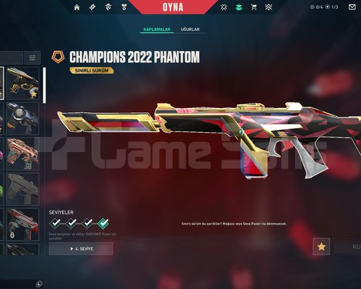 CHAMPİONS 21-22-24 VCT ARCANELİ +300K