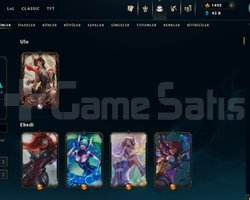 EUW 426 KOSTÜM 173 ŞAMP BRONZ ULU AHRİ