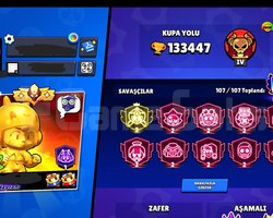 +590SKİN 3XMASTER 35RANK ÇİFT FRANK