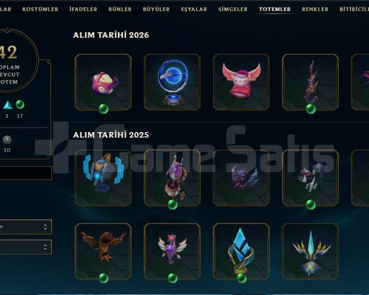 SATILIK 219 KOSTÜMLÜ 399LEVEL HESAP