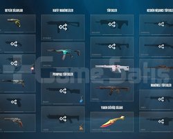 264 LVL | 8 BIÇAK | 10 VANDAL |7 PHANTOM
