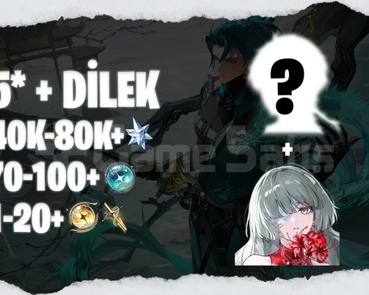 EU | UL35+ Phrolova + 5* + 40K+ Astrite