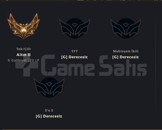 GOLD 2 / 138 ŞAMPİYON / ESKİ KURULUM