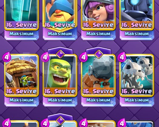2319 seviye MAX FULL hesap