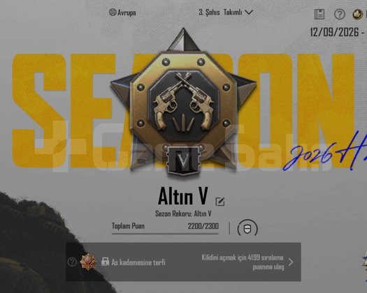 TEK BAĞ !! ALTIN V + 1x ID KARTI ++