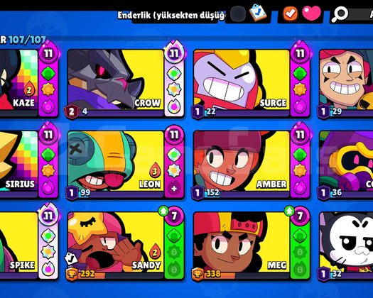 DOLULAR DOLUSU BRAWL STARS HESABI