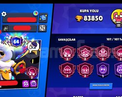 DOLULAR DOLUSU BRAWL STARS HESABI
