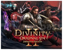 Divinity Original Sin 2 - Definitive Ed