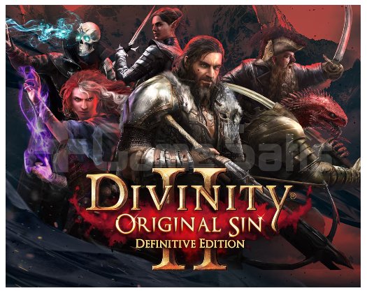 Divinity Original Sin 2 - Definitive Ed
