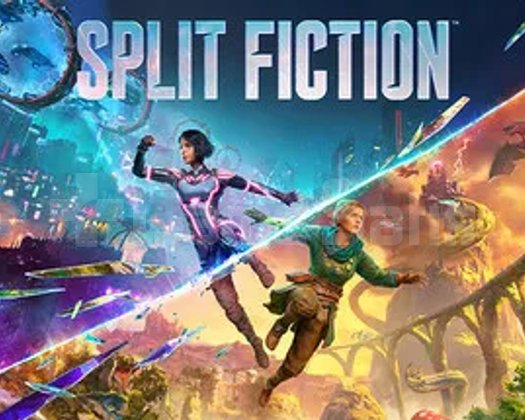 Split Fiction