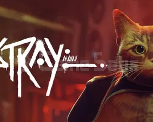 Stray