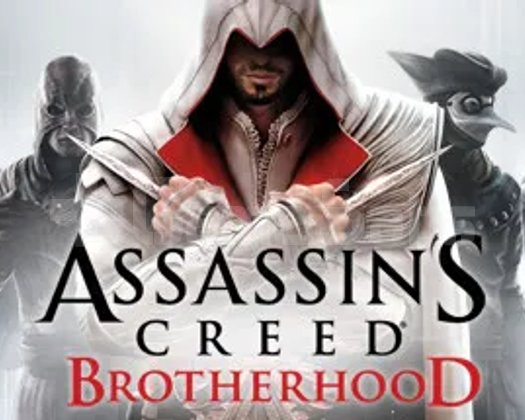 Assassins Creed Brotherhood