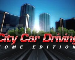 City Car Driving