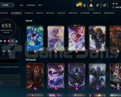 EUW 655SKİN 20İHTİŞAMLI KOSTÜM 420RENK