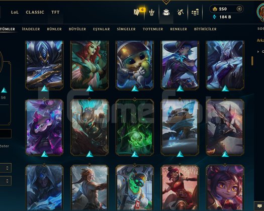 363 LEVEL / 160 SKİN / 172 HERO