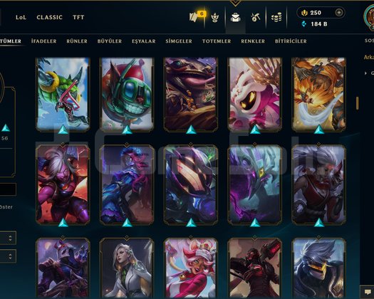 363 LEVEL / 160 SKİN / 172 HERO