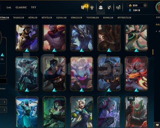 363 LEVEL / 160 SKİN / 172 HERO