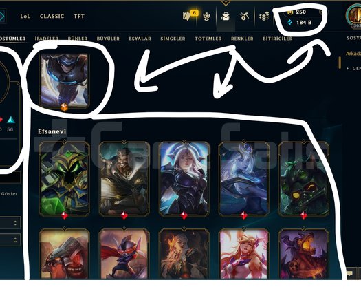 363 LEVEL / 160 SKİN / 172 HERO