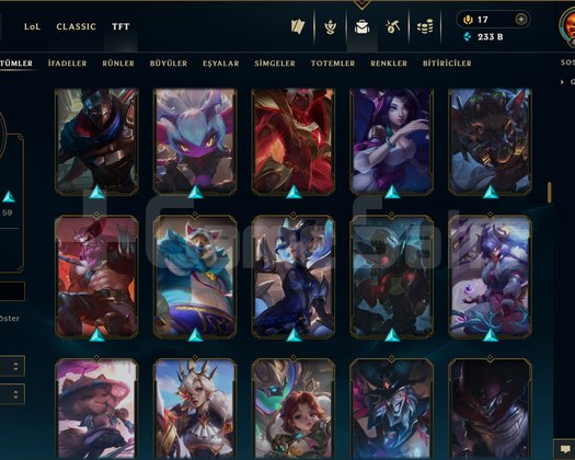 407 LEVEL / 147 SKİN / FUL HERO
