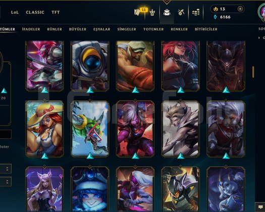 229 LEVEL / 112 SKİN / FUL HERO