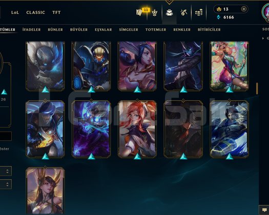 229 LEVEL / 112 SKİN / FUL HERO
