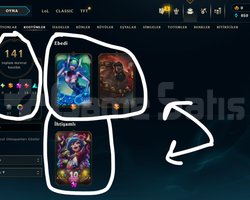 245 LEVEL / 106 SKİN / 135 HERO