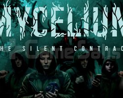 Mycelium The Silent Contract