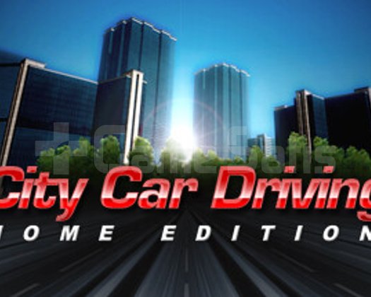 City Car Driving