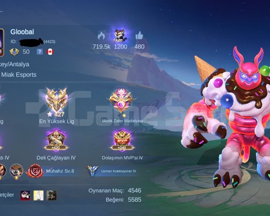 Satılık Gloo Main global 63WR